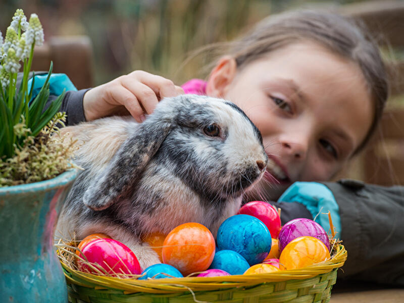 Vorschau auf Ostern
