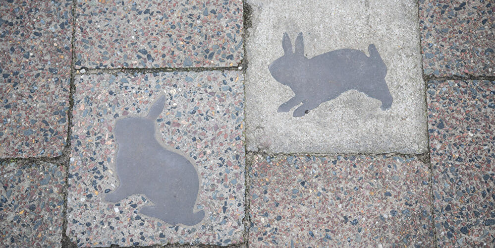 Mauerhasen auf der ChausseestraÃŸe
