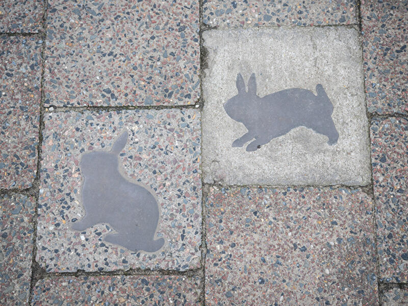 Mauerhasen auf der Chausseestraße