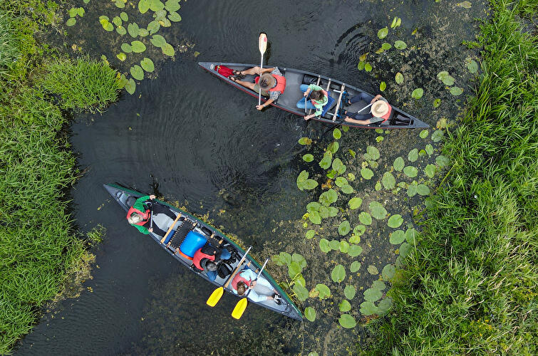 Kanus im Nationalpark Unteres Odertal