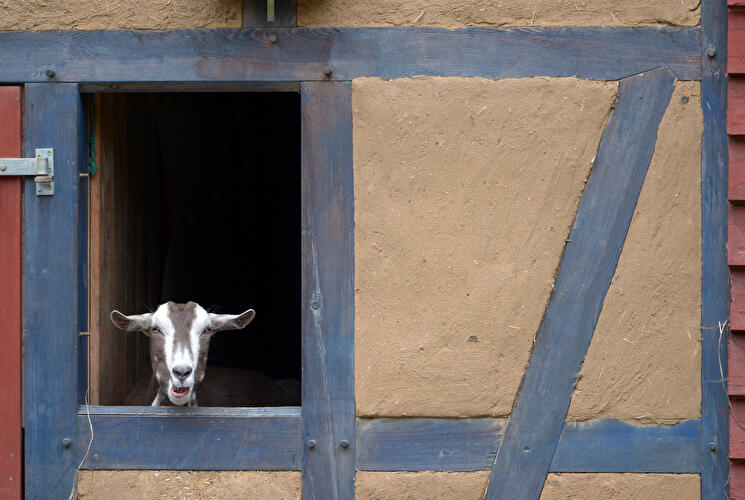 Ziegenhof in Berlin