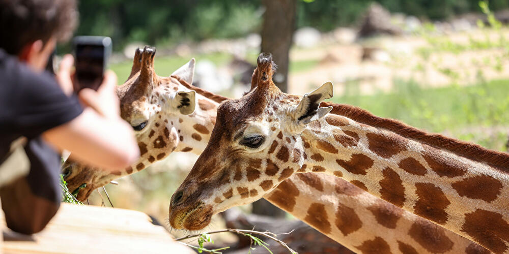 Tierpark Berlin