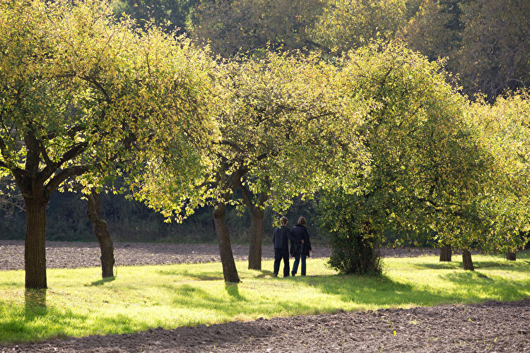 Botanischer Garten Pankow