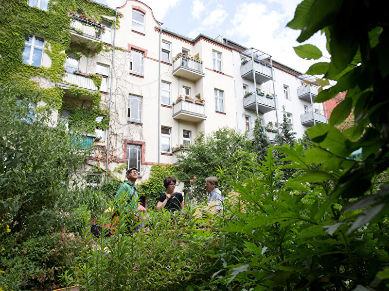 Langer Tag der StadtNatur in Berlin