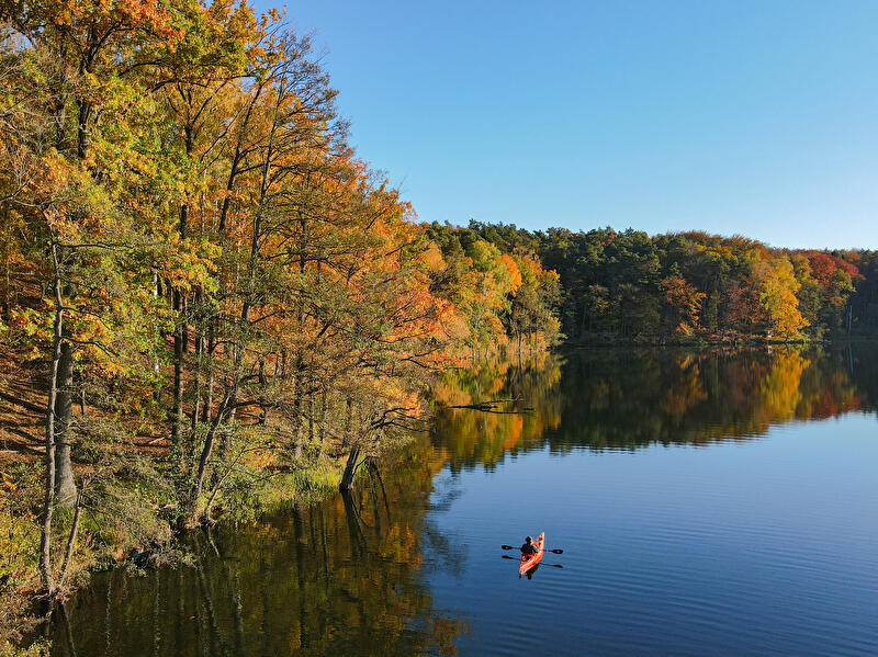 Eine Person ist mit einem Kajak auf dem Trepliner See unterwegs. Am Ufer leuchtet der Wald in Herbstfarben. 
