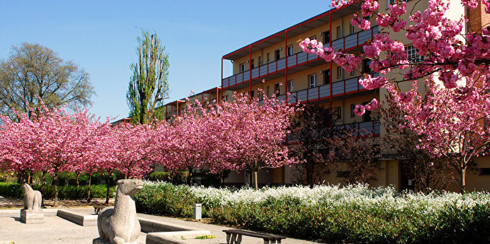 Alt-Hohenschönhausen - Märkisches Viertel / Siedlung Flusspferdhof