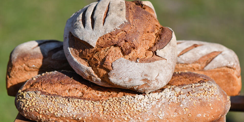 Brot