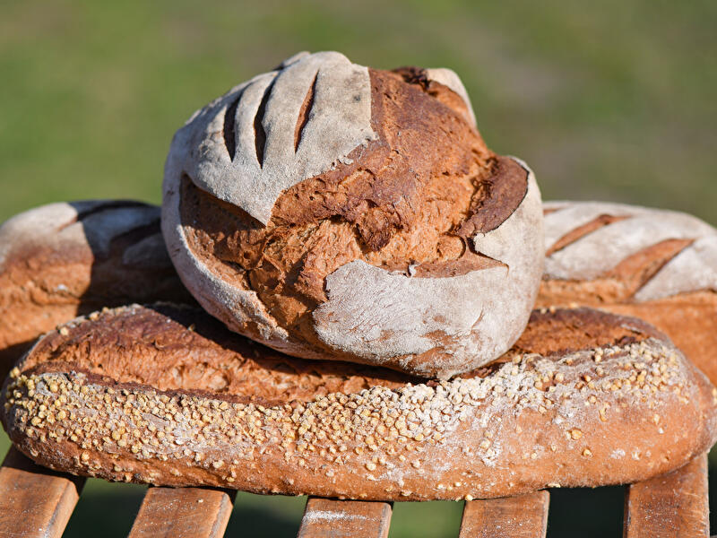 Brot