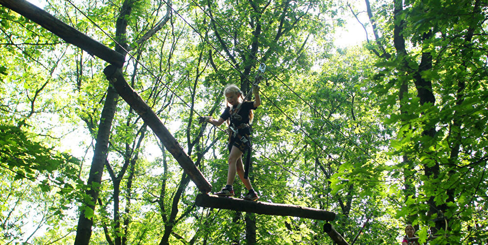 Ein Kind balanciert gesichert über hängende Baumstämme im Kletterwald zwischen hohen Bäumen.