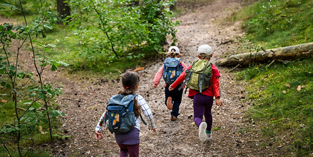 Kinder im Wald