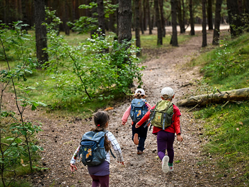 Kinder im Wald