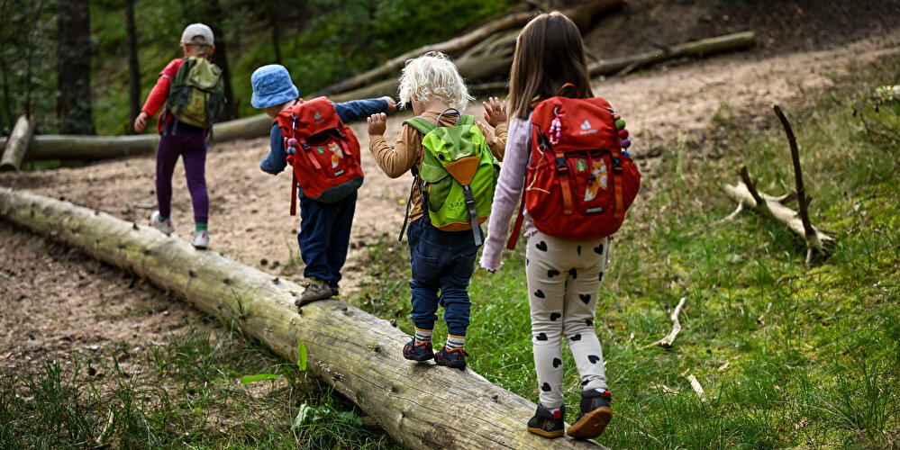 Kinder im Wald