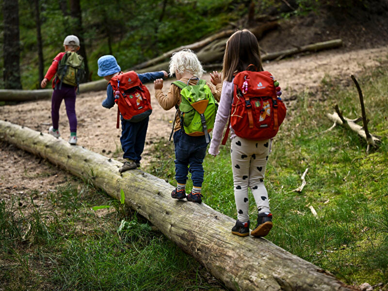 Kinder im Wald