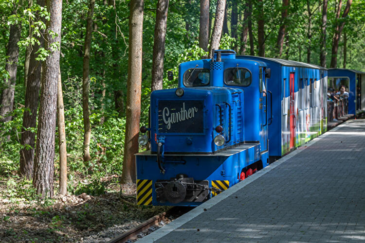 2024 - Zug, Haus Natur und Umwelt, Lok Gunther