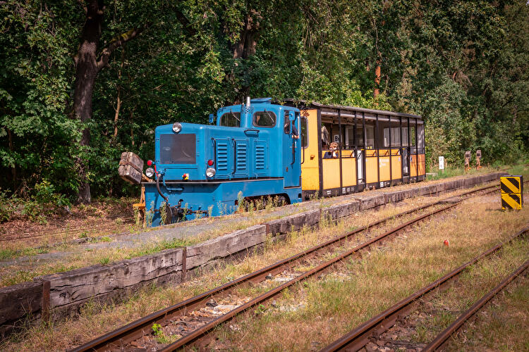 2024 - Zug, Betriebswerk, Lok Gernot, V 10