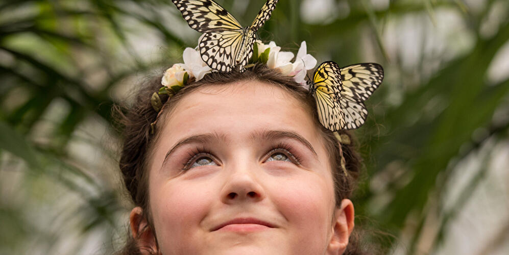 Kind mit Schmetterlingen