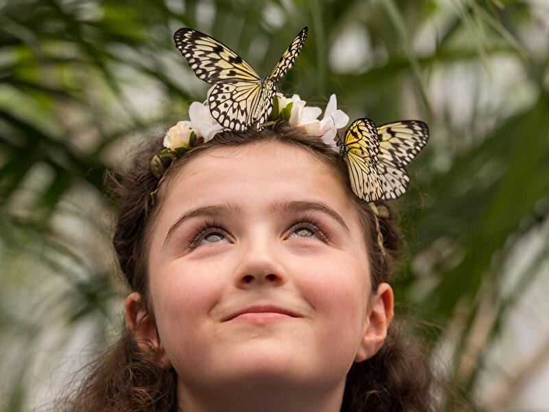 Kind mit Schmetterlingen