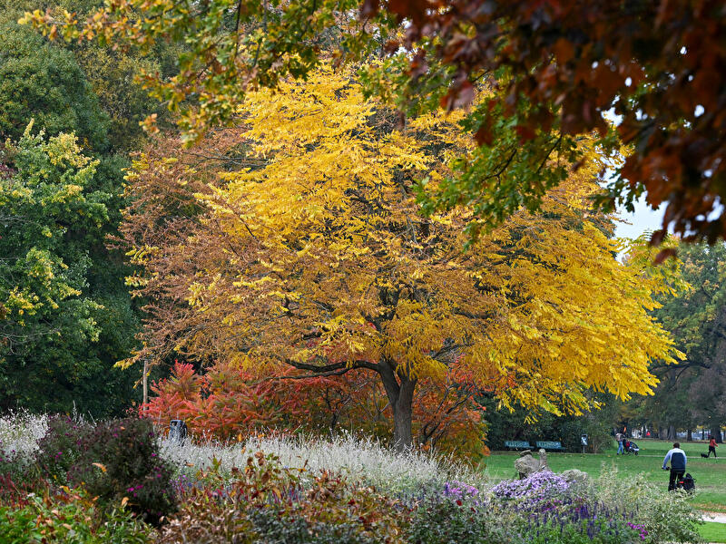 Fall in Berlin