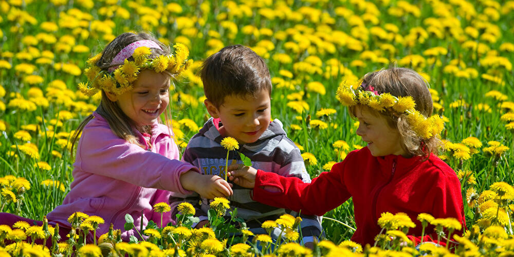 Kinde Frühling Wiese