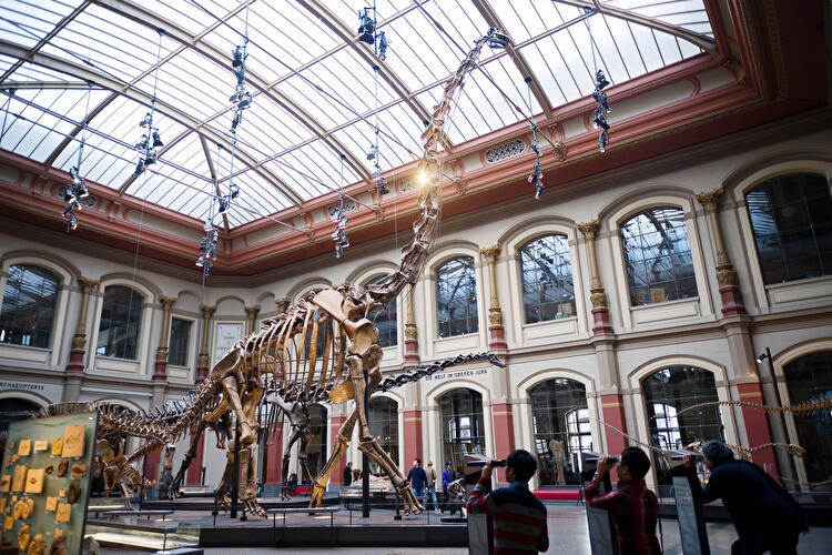 Museum für Naturkunde