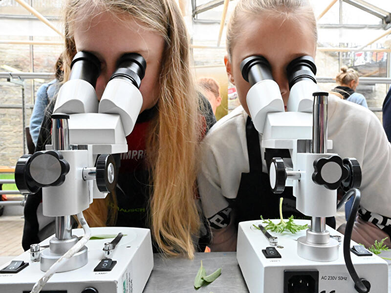 Bundesgartenschau-Klassenzimmer fÃ¼r BUGA 2021