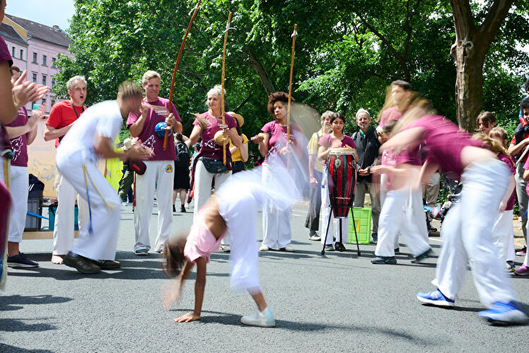 Karneval der Kulturen 2025 (4)