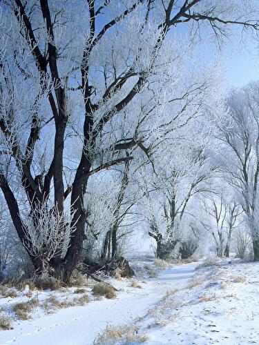 Winterlandschaft in Brandenburg