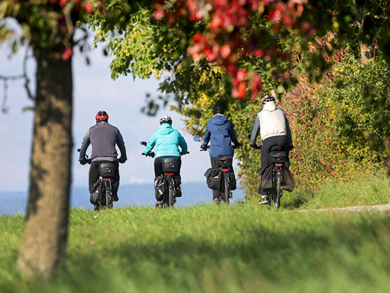 Vier Radfahrende fahren durch eine herbstliche Landschaft.
