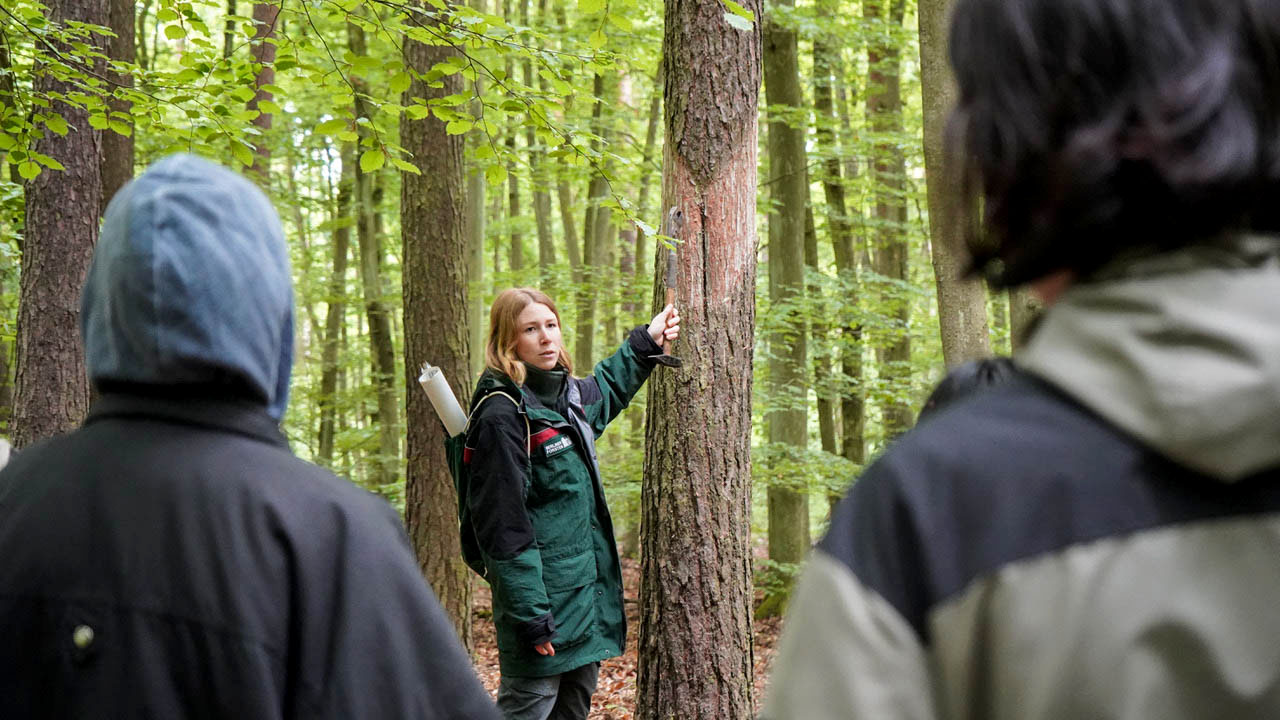 Revierförsterin Alina Dunkel bei einer Führung durch den Harzungspfad