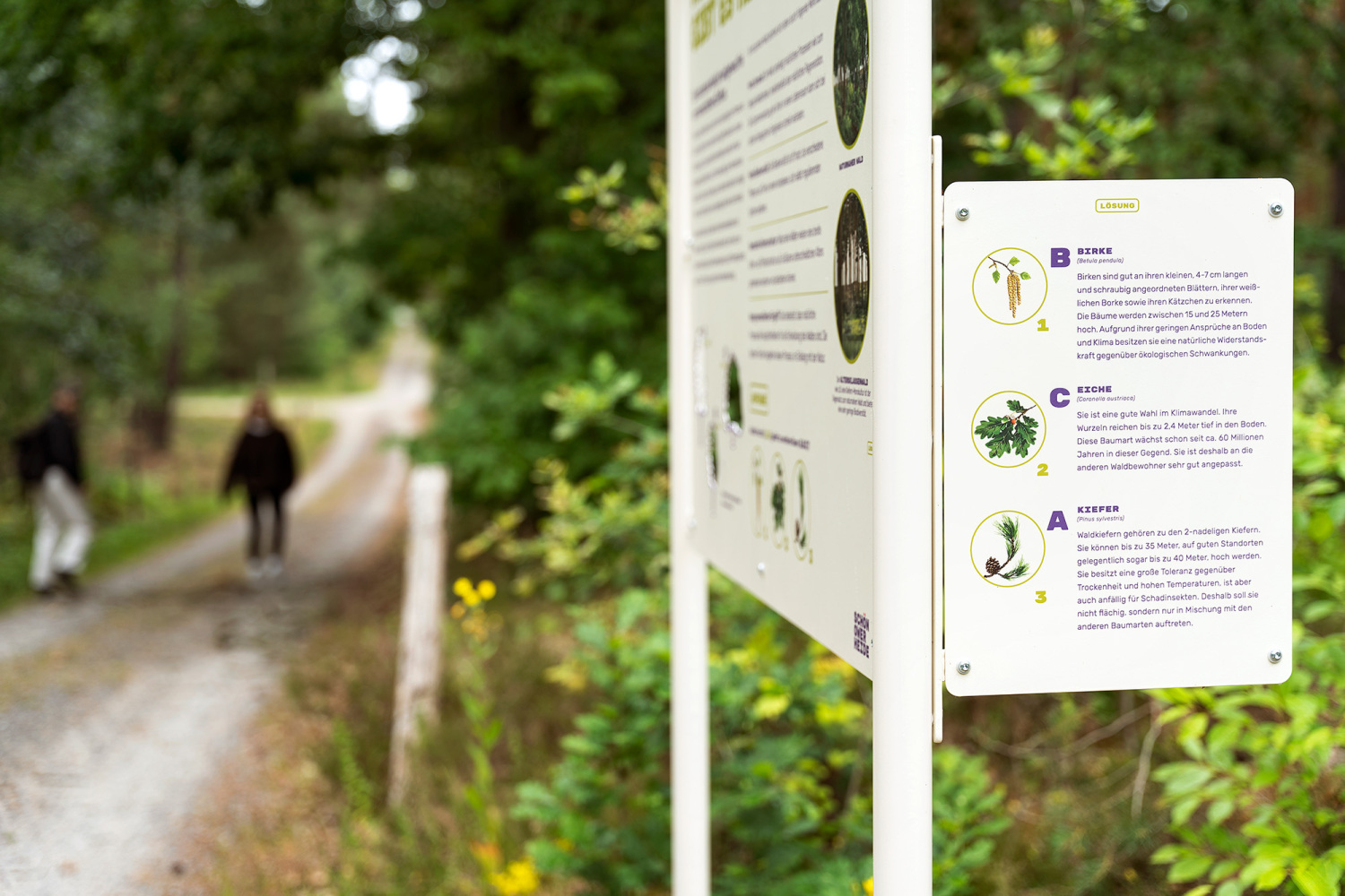 Schönower Heide: Weg mit Beschilderung