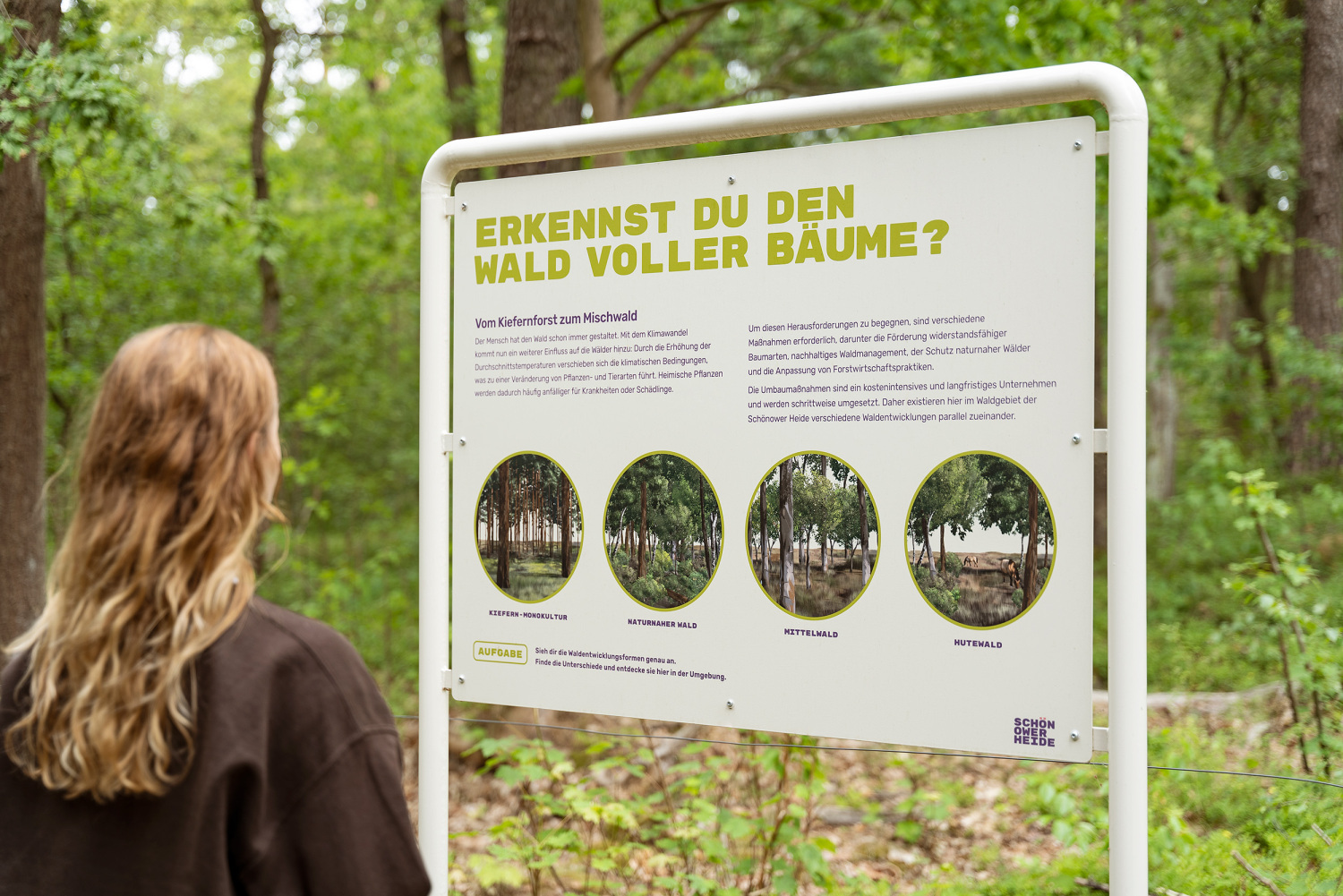 Schönower Heide: Schild "Erkennst du den Wald voller Bäume?" Mädchen liest die Texte auf einem Schild, das die Entwicklung zum Mischwald erläutert. Im Hintergrund ist Wald mit jungem Unterholz
