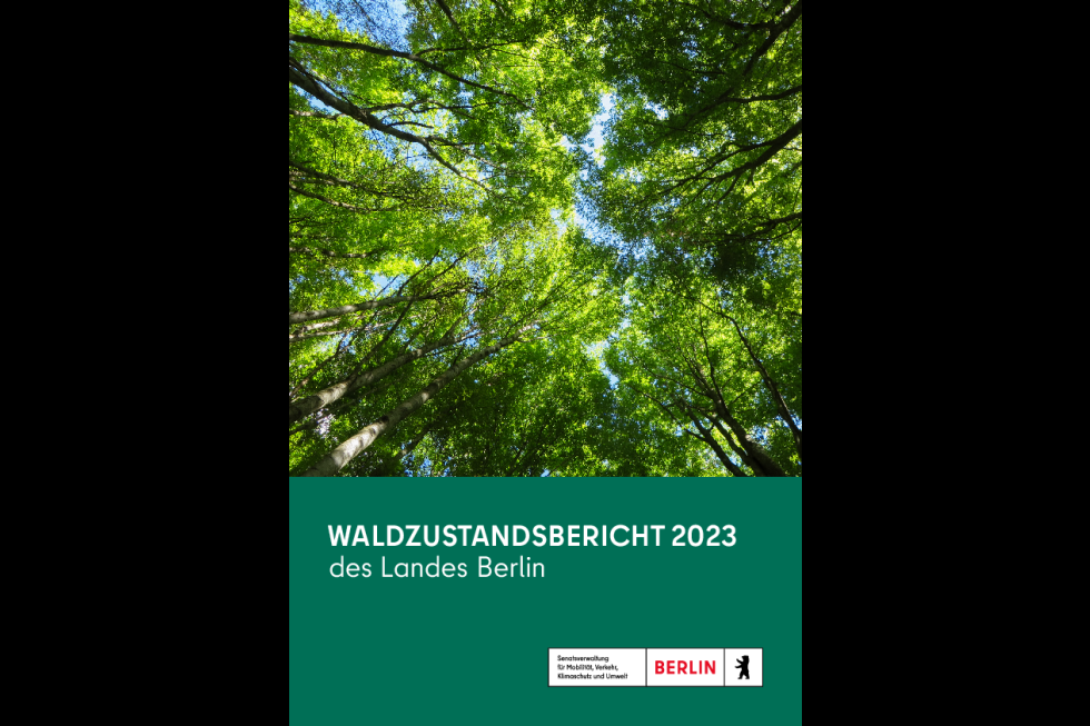 Waldzustandsbericht 2023 des Landes Berlin