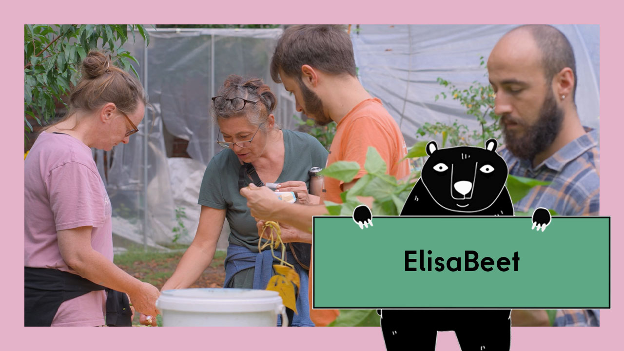 Vorschaubild für das Video Gemeinschaftsgärten: das ElisaBeet in Gesundbrunnen. Abgebildet sind vier Personen bei der Gartenarbeit.