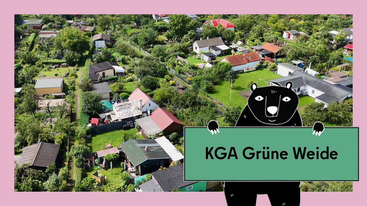 Vorschaubild für das Video Gärtnern in der Kleingartenanlage: Grüne Weide in Treptow-Köpenick. Abgebildet ist die Anlage aus der Vogelperspektive