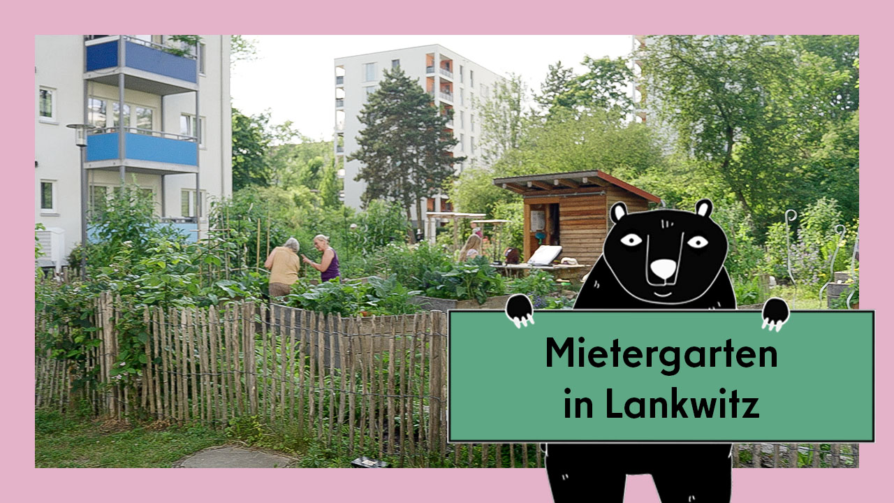 Vorschaubild für das Video Mietergärten: der Garten Mischgemüse in Lankwitz. Abgebildet ist ein Hochbeetgarten zwischen Mietshäusern