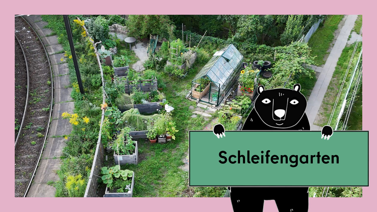 Vorschaubild für das Video Gemeinschaftsgärten in einer Kleingartenanlage: der Schleifengarten in Prenzlauer Berg. Abgebildet sind Beete neben Straßenbahngleisen.