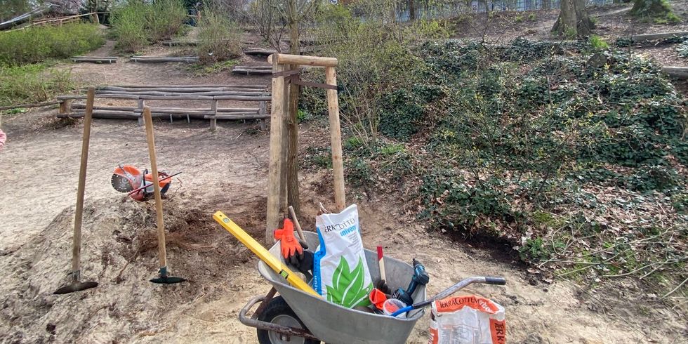 neue Bäume für Spielplätze