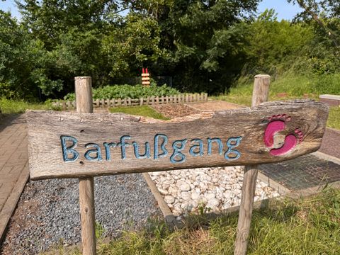 Schulgartenwettbewerb 2025 - Grundschule an der Wuhle