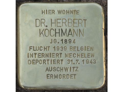 Stolperstein für Dr. Herbert Kochmann