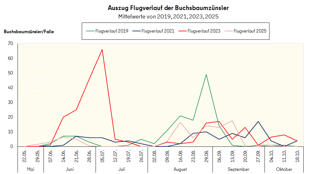 Auszug Flugverlauf der Buchsbaumzünsler; Mittelwerte von 2019, 2021, 2023, 2025