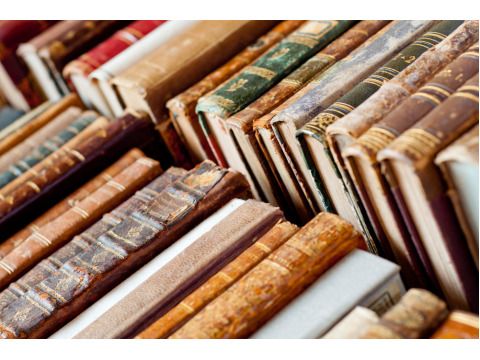 Ein Bild gefüllt mit alten Bücherrücken