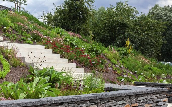 Die blühenden Steingärten an den Kienbergterrassen