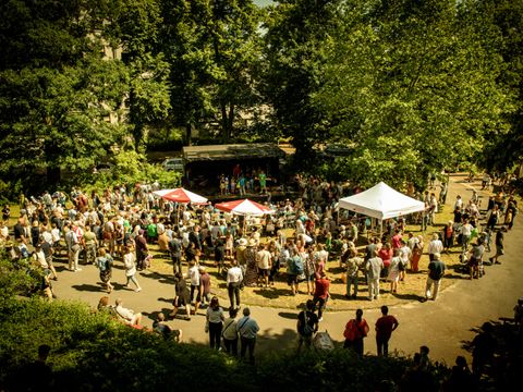 Garten der Musikschule aus dem Gebäude fotografiert