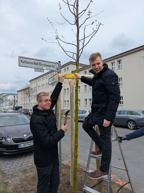 Eventpflanzung Frühjahr 2026 durch Bürgerverein "Miteinander im Südosten" e.V. (Bild: SenMVKU)