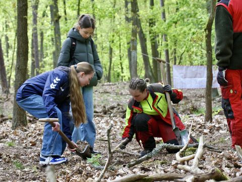 Girls Day 2024 bei den Berliner Forsten: Baumpflanzung