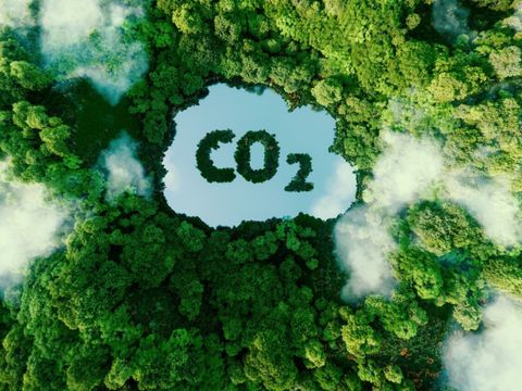 See in einem Wald von oben, es steht CO2 auf der Oberfläche geschrieben