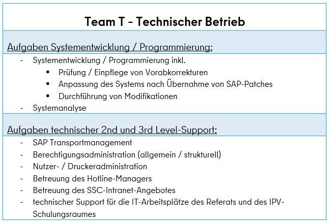 Tabellarische Darstellung der Tätigkeiten des Teams Technischer Betrieb des DS IPV / SSC