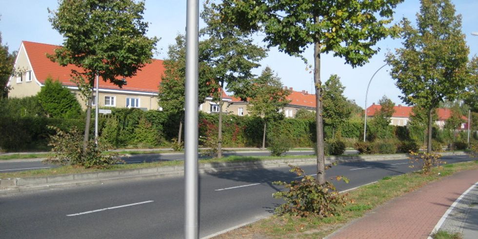 Straßenbegleitgrün