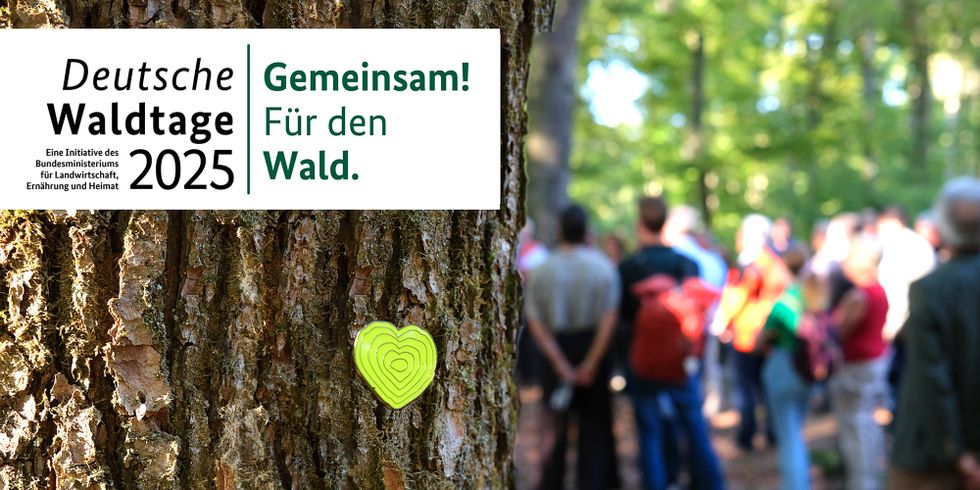 Deutsche Waldtage 2025