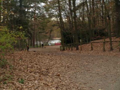 Grunewaldsee